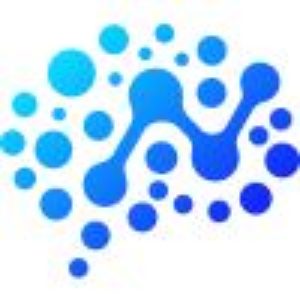 Entity logo of NimbleBrain