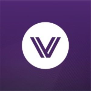 Entity logo of GoVibe